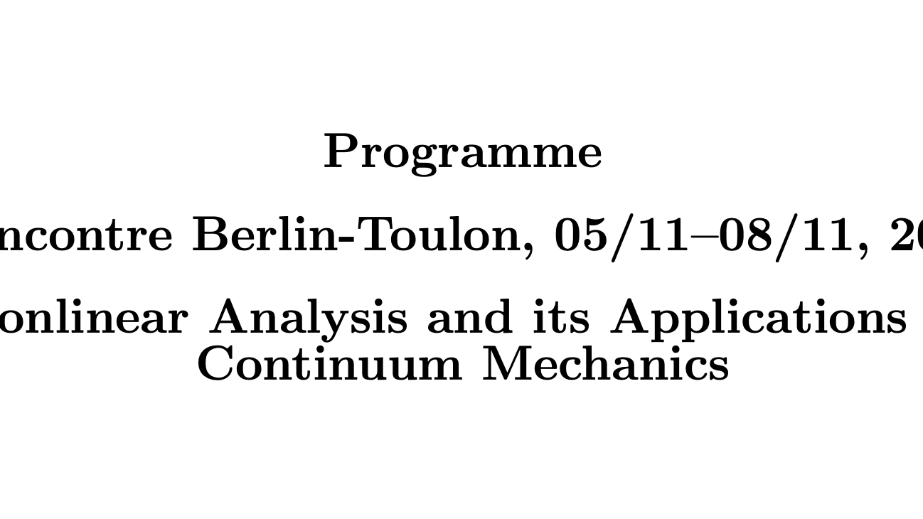 Workshop : Nonlinear Analysis and its Applications in the Continuum Mechanics